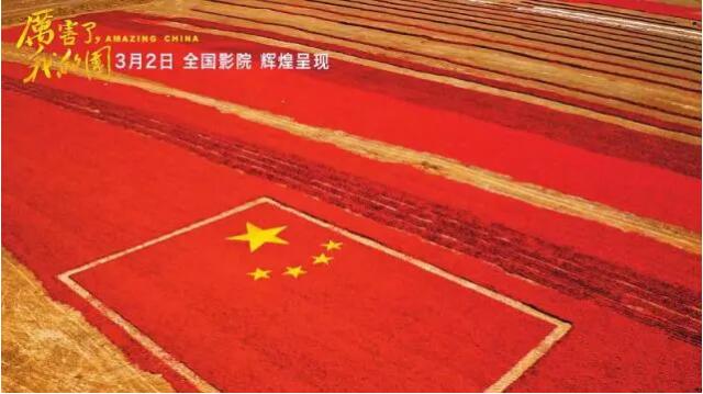 yd222云顶线路(中国)检测中心有限公司-官网