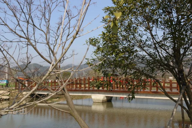 yd222云顶线路(中国)检测中心有限公司-官网