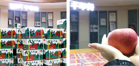 yd222云顶线路(中国)检测中心有限公司-官网